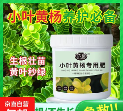 小叶黄杨施肥用什么好