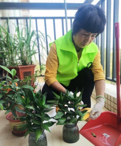 家庭养花用生根粉