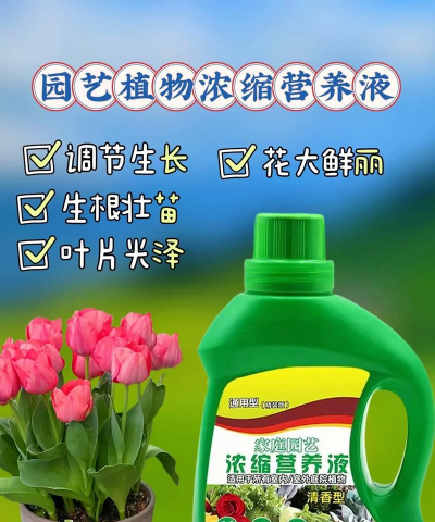 大花浇什么营养液