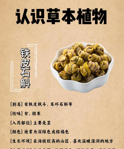 铁皮石斛的土名叫什么