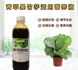 家庭养花用生根粉