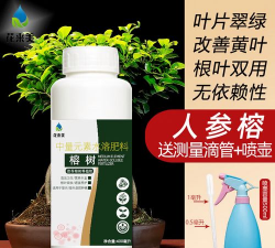 家庭养花用生根粉