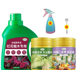 红花继木需要什么肥