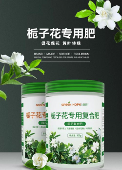 栀子花应下什么肥