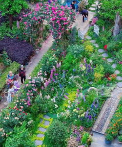 家庭养花用生根粉