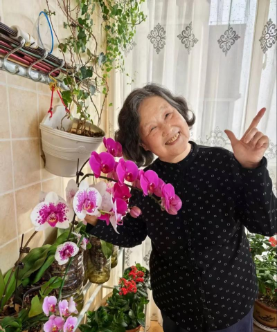 家庭养花用生根粉