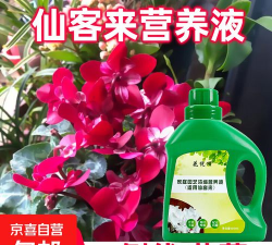 家庭养花用生根粉