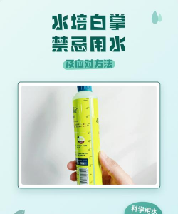 家庭养花用生根粉