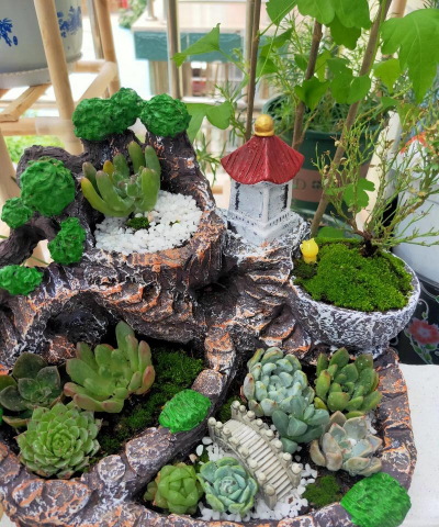 家庭养花用生根粉