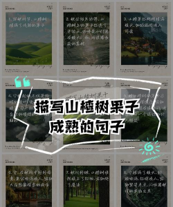 山楂树的山楂怎么形容