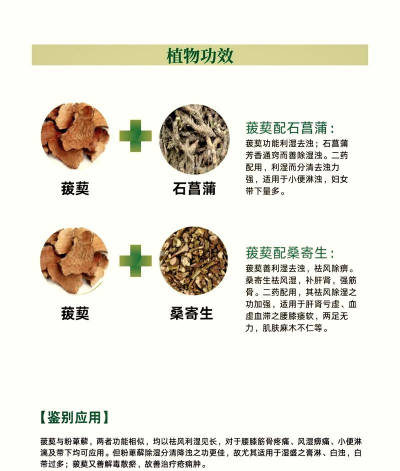 拔葜的作用是什么