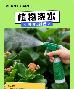 家庭养花用生根粉