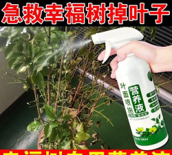 家庭养花用生根粉