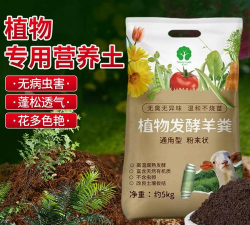 家庭养花用生根粉