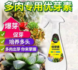 家庭养花用生根粉