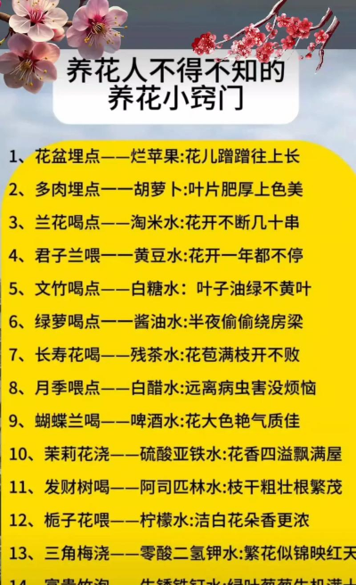 家庭养花用生根粉