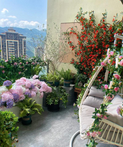 奉节阳台养花