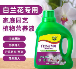 家庭养花用生根粉