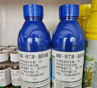 沙地柏用什么除草剂