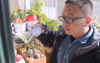 家庭养花用生根粉