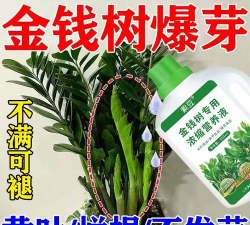 家庭养花用生根粉