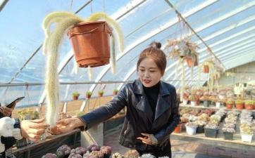 家庭养花用生根粉