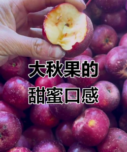 东北秋天的果叫什么名字