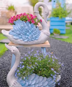 创意养花器 创意养花器