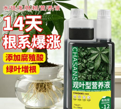 家庭养花用生根粉