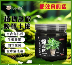 家庭养花用生根粉