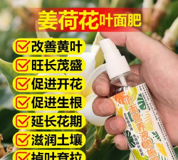 家庭养花用生根粉