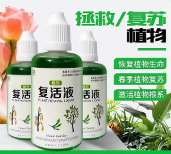 家庭养花用生根粉