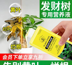 家庭养花用生根粉