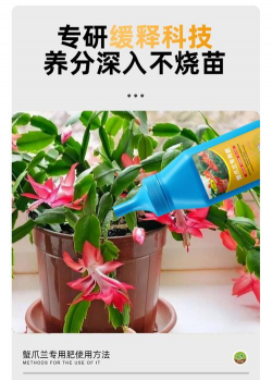 家庭养花用生根粉