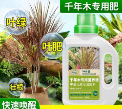 家庭养花用生根粉