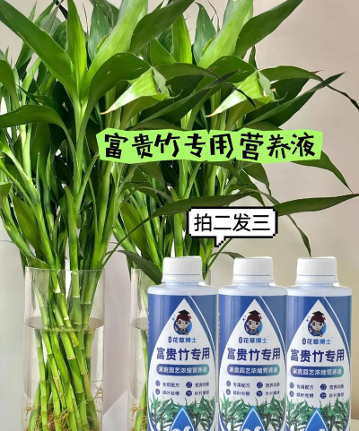 家庭养花用生根粉