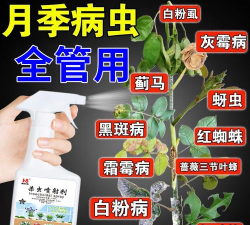 家庭养花用生根粉