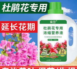 家庭养花用生根粉