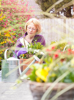 家庭养花用生根粉