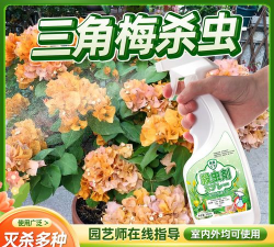 家庭养花用生根粉