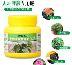 家庭养花用生根粉