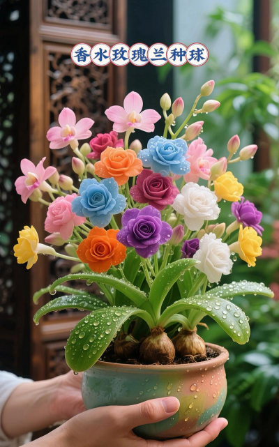 家庭养花用生根粉