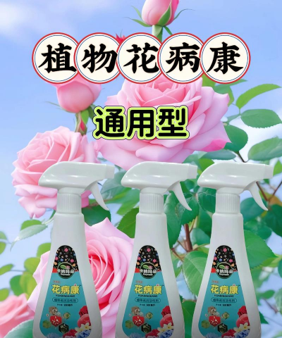 家庭养花用生根粉