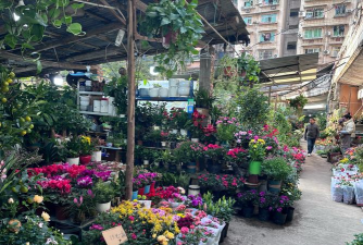 重庆花卉市场叫什么名字