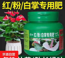 家庭养花用生根粉