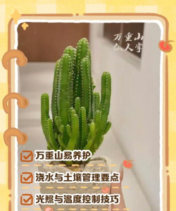 万重山有什么土