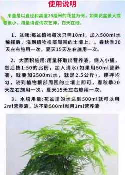 家庭养花用生根粉