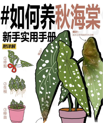 秋季植物如何保养