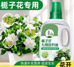 家庭养花用生根粉