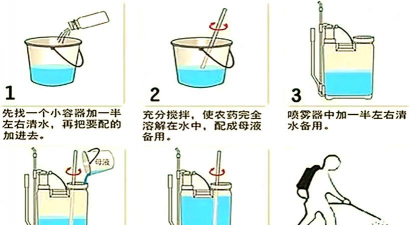 家庭养花用生根粉